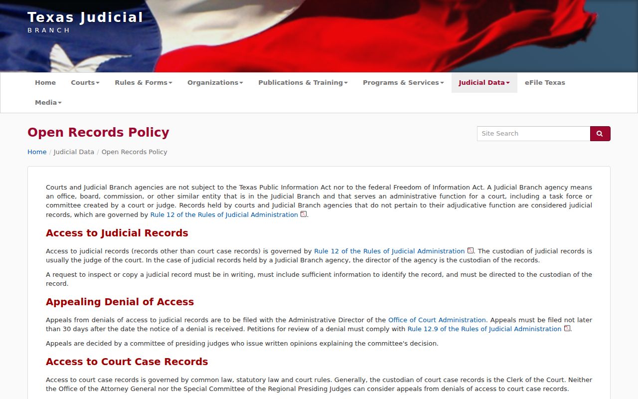 Houston County court record access on the Texas judiciary records policy page